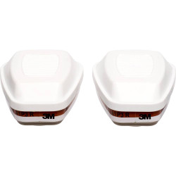 Sachets de 2 FILTRES  FFP3 PHYTO - 6095 - 3M