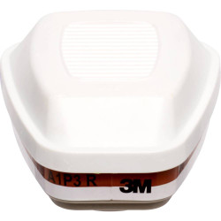 Sachets de 2 FILTRES  FFP3 PHYTO - 6095 - 3M