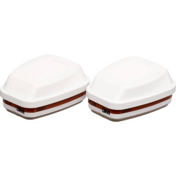Sachets de 2 FILTRES  FFP3 PHYTO - 6095 - 3M
