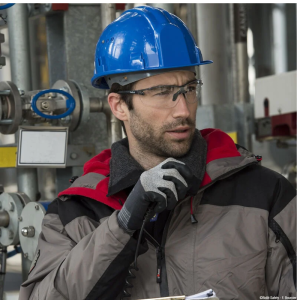 Lunettes de protection SILIUM+ polycarbonate - SILPPSI - BOLLE SAFETY