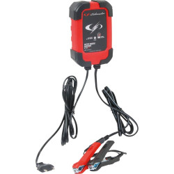 Chargeur de batterie automatique 6/12V 1A SPI 1 - 54050 - SCHNEIDER