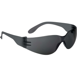 Lunette BRAVA2 Smoke POLYCARBONATE - BRAV2FU - DELTA-PLUS